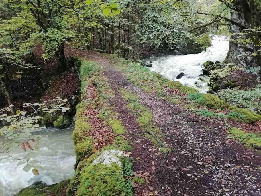 Au Pied Des Pistes De Lelex